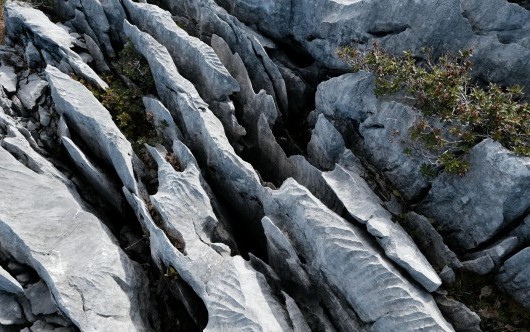 Champs de lapiaz : le rendu des labyrinthes de pierre sur les cartes